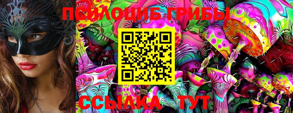 Псилоцибиновые грибы Psilocybe  Вход с VPN  Ивантеевка 